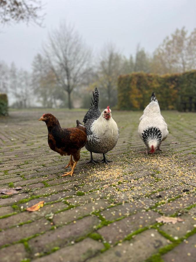 De Appelhoeve Terschuur Luaran gambar